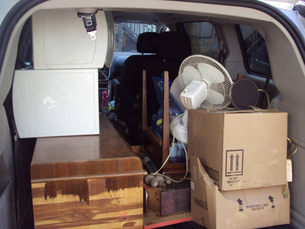 Best Yard Waste Removal  in Bryson City, NC